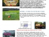 kuhnt_jacqueline_destination-branding_am-beispiel-incredible-india
